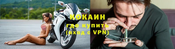 прущие грибы Белоозёрский