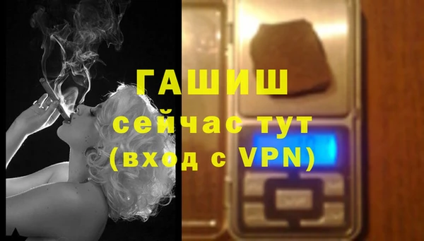 ECSTASY Богданович