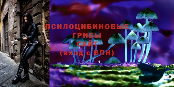 прущие грибы Белоозёрский