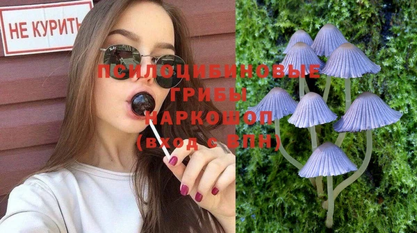 mix Белокуриха