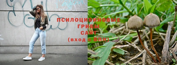 соль ск Снежногорск