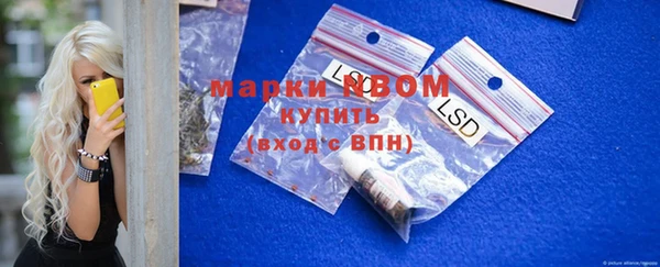 ECSTASY Богданович
