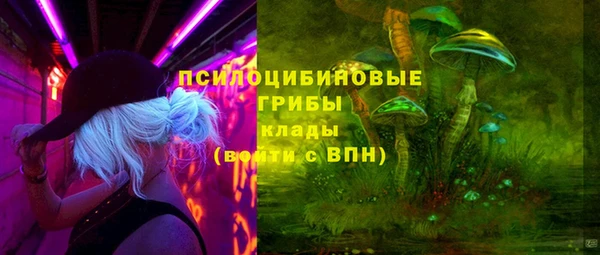 mix Белокуриха