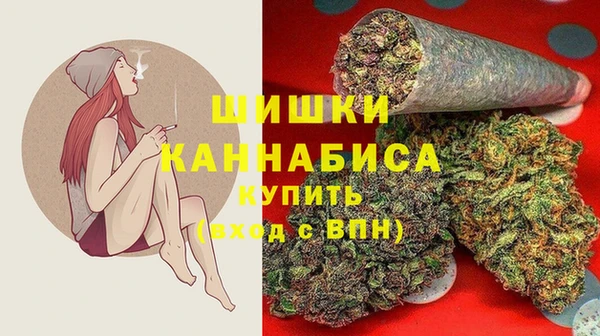 ECSTASY Богданович