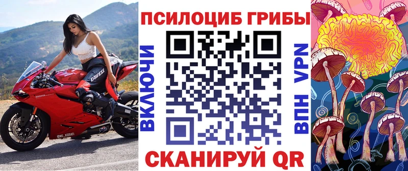 купить закладку  Белозерск  Галлюциногенные грибы мицелий 